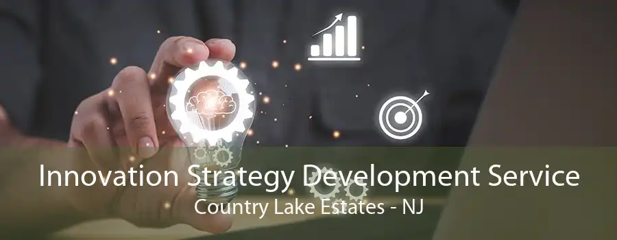 Innovation Strategy Development Service Country Lake Estates - NJ