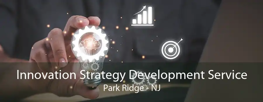 Innovation Strategy Development Service Park Ridge - NJ