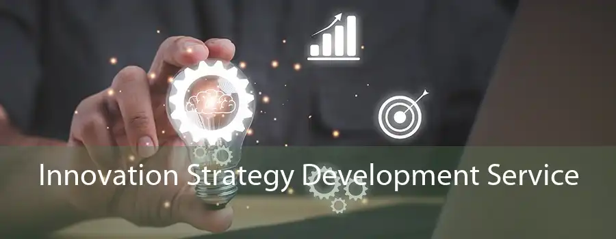 Innovation Strategy Development Service 