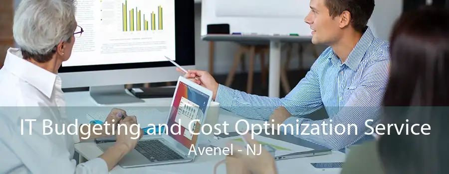 IT Budgeting and Cost Optimization Service Avenel - NJ