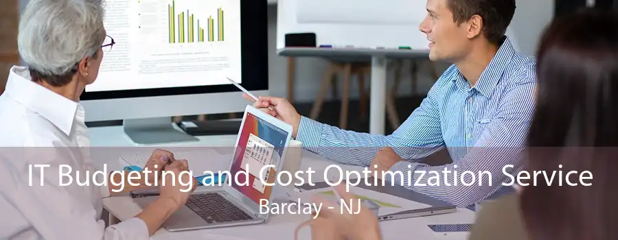 IT Budgeting and Cost Optimization Service Barclay - NJ