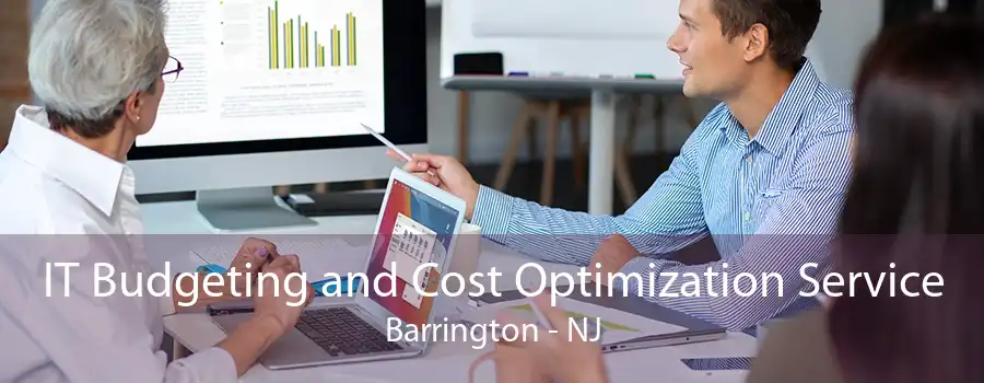 IT Budgeting and Cost Optimization Service Barrington - NJ