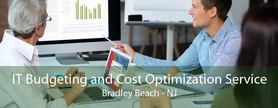 IT Budgeting and Cost Optimization Service Bradley Beach - NJ