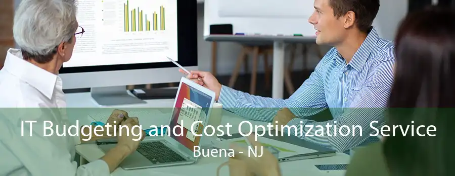 IT Budgeting and Cost Optimization Service Buena - NJ