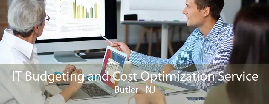 IT Budgeting and Cost Optimization Service Butler - NJ