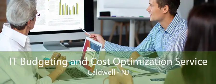 IT Budgeting and Cost Optimization Service Caldwell - NJ