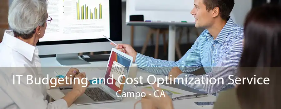 IT Budgeting and Cost Optimization Service Campo - CA