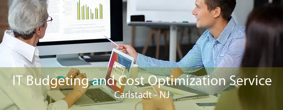 IT Budgeting and Cost Optimization Service Carlstadt - NJ