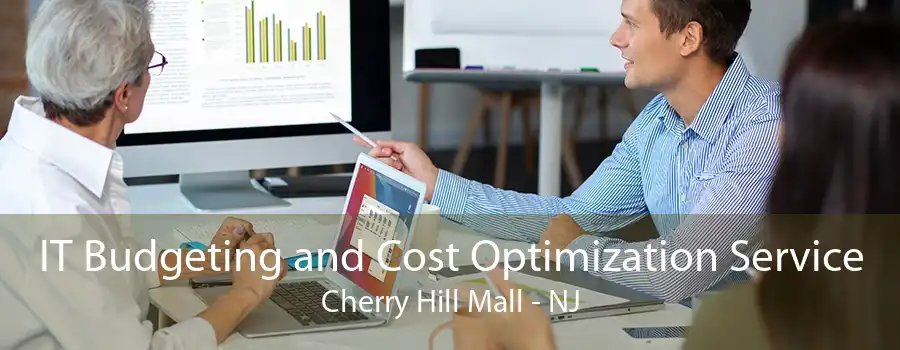 IT Budgeting and Cost Optimization Service Cherry Hill Mall - NJ