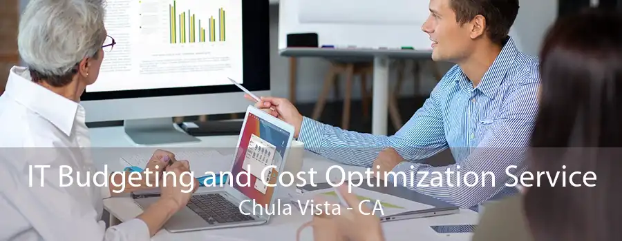 IT Budgeting and Cost Optimization Service Chula Vista - CA
