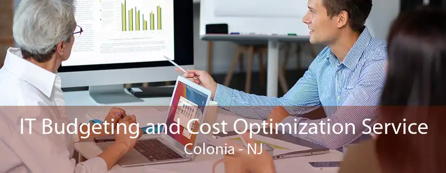 IT Budgeting and Cost Optimization Service Colonia - NJ