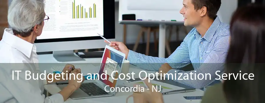 IT Budgeting and Cost Optimization Service Concordia - NJ