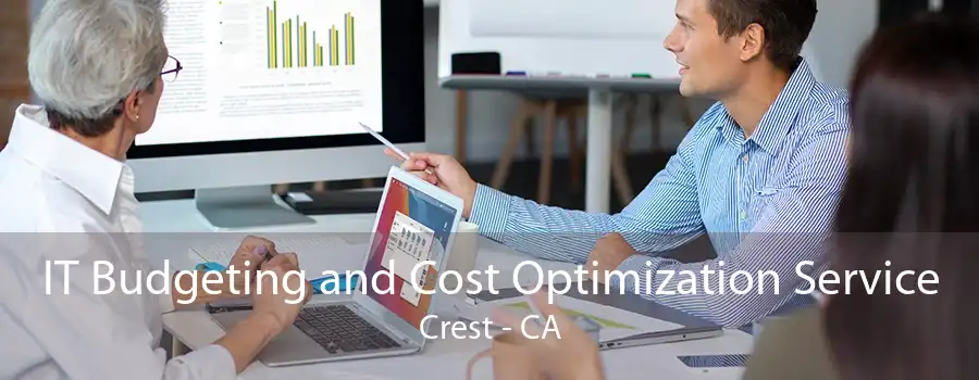 IT Budgeting and Cost Optimization Service Crest - CA