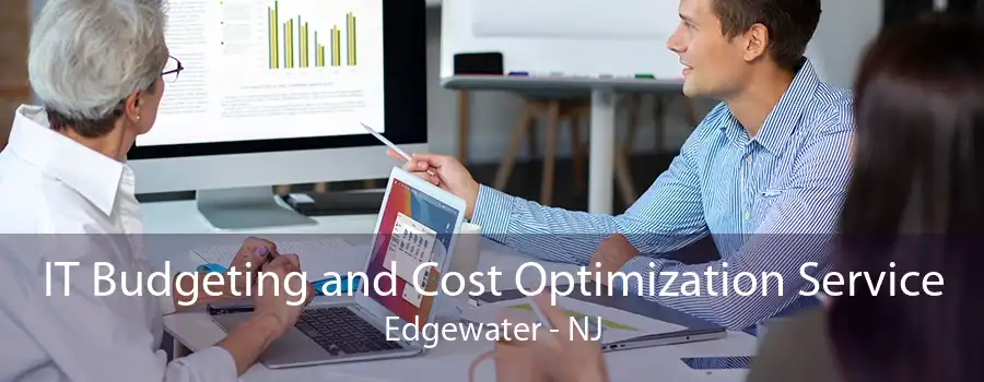 IT Budgeting and Cost Optimization Service Edgewater - NJ