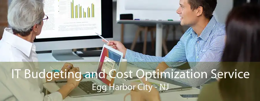 IT Budgeting and Cost Optimization Service Egg Harbor City - NJ