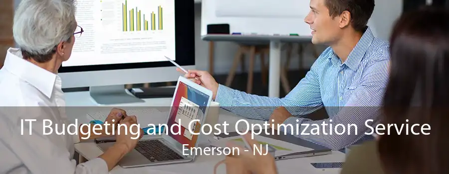 IT Budgeting and Cost Optimization Service Emerson - NJ