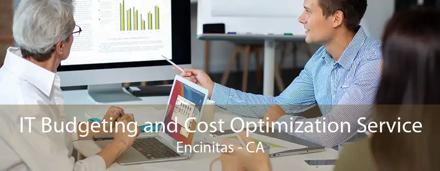 IT Budgeting and Cost Optimization Service Encinitas - CA