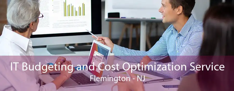 IT Budgeting and Cost Optimization Service Flemington - NJ