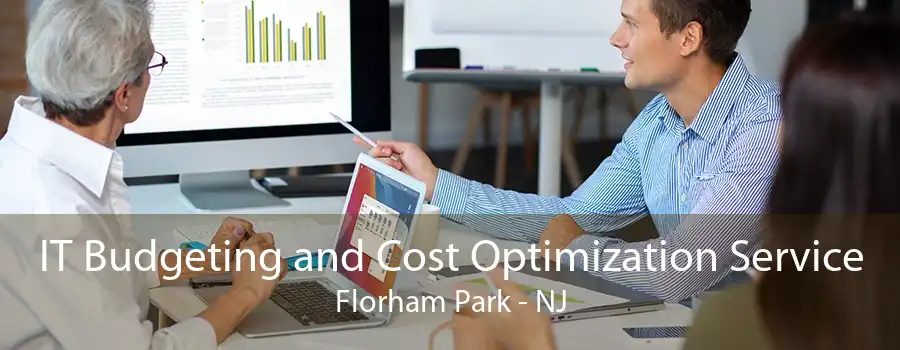 IT Budgeting and Cost Optimization Service Florham Park - NJ