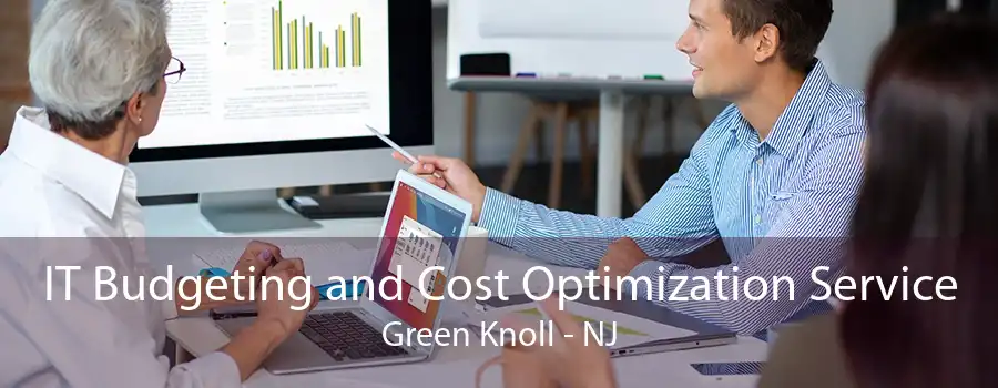 IT Budgeting and Cost Optimization Service Green Knoll - NJ