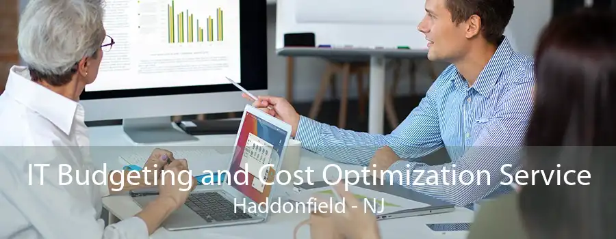 IT Budgeting and Cost Optimization Service Haddonfield - NJ