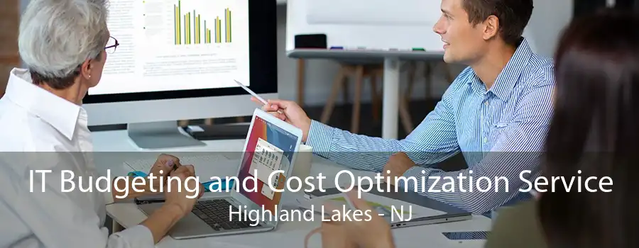 IT Budgeting and Cost Optimization Service Highland Lakes - NJ