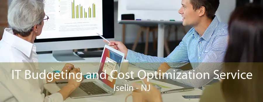IT Budgeting and Cost Optimization Service Iselin - NJ