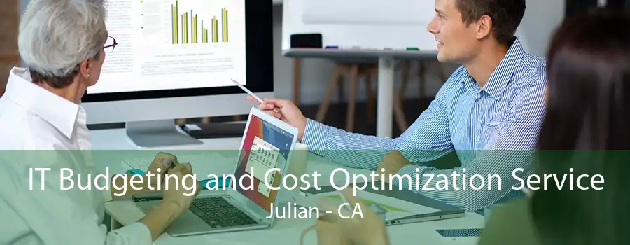 IT Budgeting and Cost Optimization Service Julian - CA