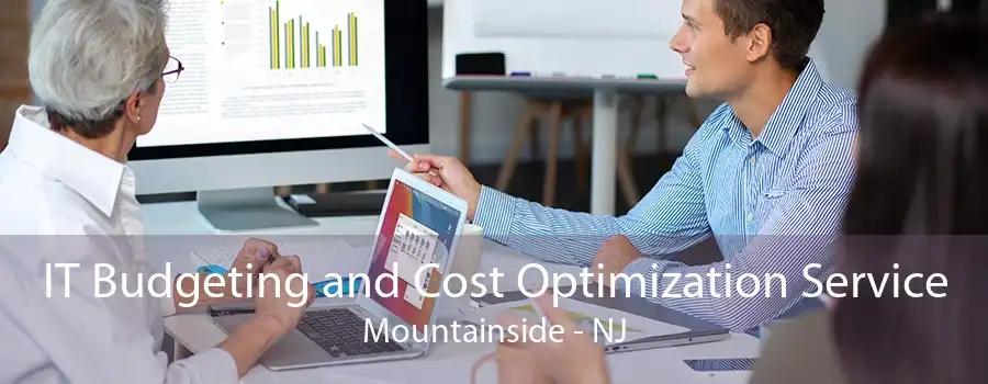 IT Budgeting and Cost Optimization Service Mountainside - NJ