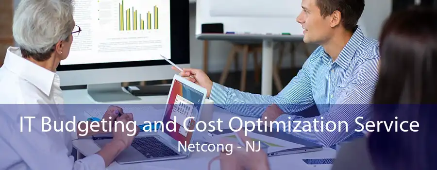 IT Budgeting and Cost Optimization Service Netcong - NJ