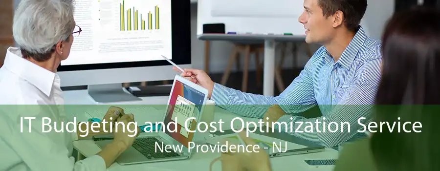 IT Budgeting and Cost Optimization Service New Providence - NJ