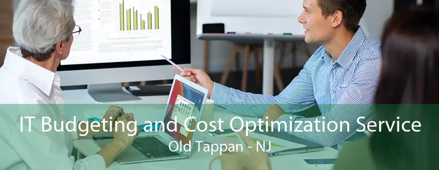 IT Budgeting and Cost Optimization Service Old Tappan - NJ