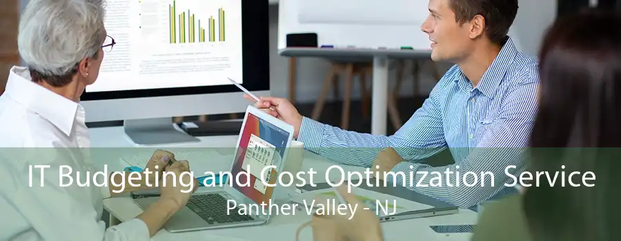 IT Budgeting and Cost Optimization Service Panther Valley - NJ