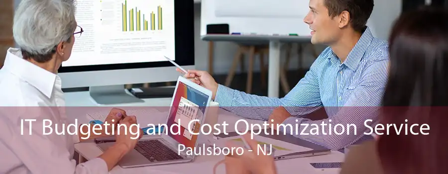 IT Budgeting and Cost Optimization Service Paulsboro - NJ