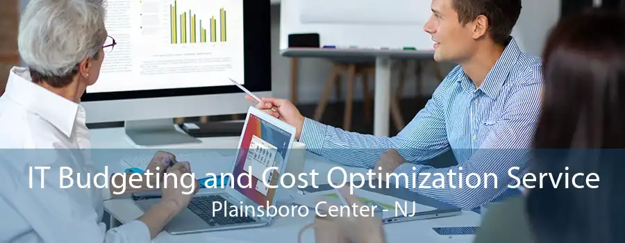 IT Budgeting and Cost Optimization Service Plainsboro Center - NJ