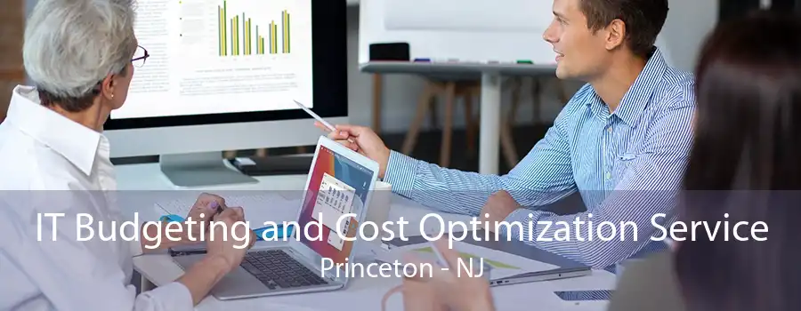 IT Budgeting and Cost Optimization Service Princeton - NJ
