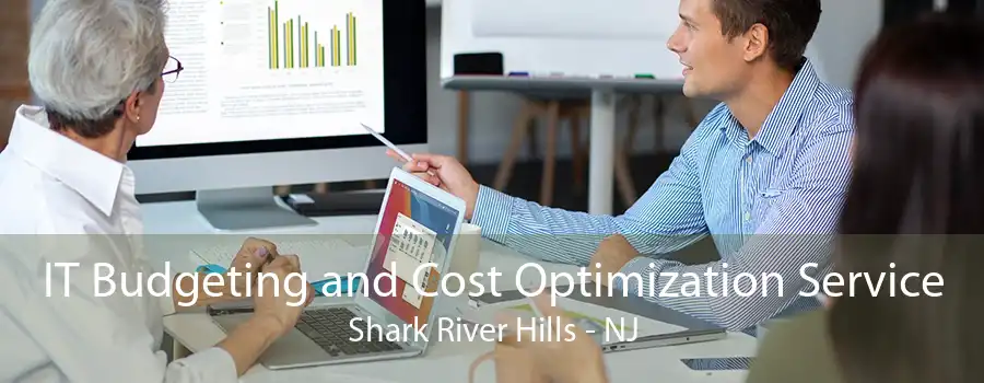 IT Budgeting and Cost Optimization Service Shark River Hills - NJ