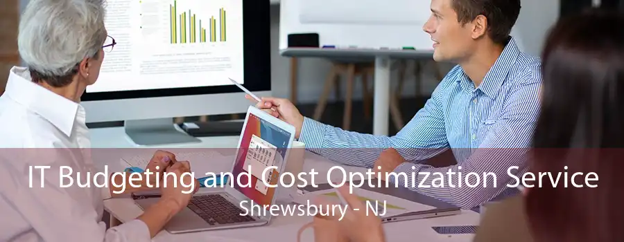 IT Budgeting and Cost Optimization Service Shrewsbury - NJ