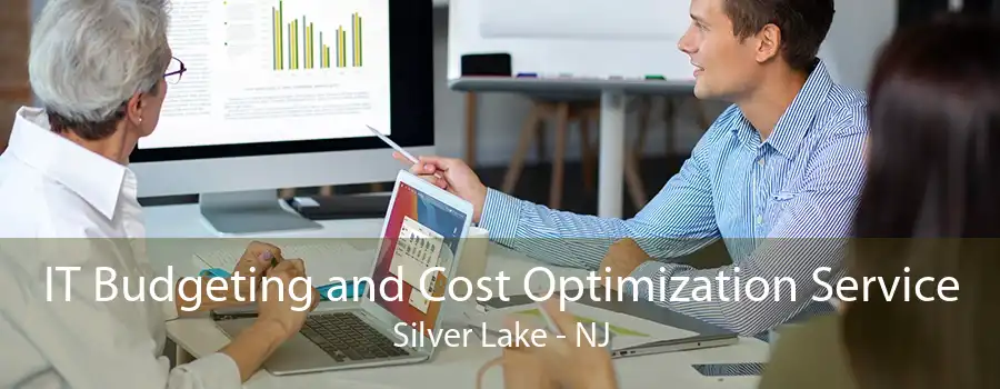 IT Budgeting and Cost Optimization Service Silver Lake - NJ