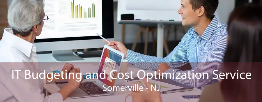 IT Budgeting and Cost Optimization Service Somerville - NJ