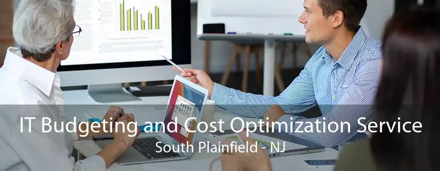 IT Budgeting and Cost Optimization Service South Plainfield - NJ