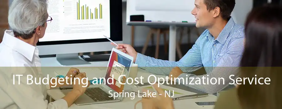 IT Budgeting and Cost Optimization Service Spring Lake - NJ