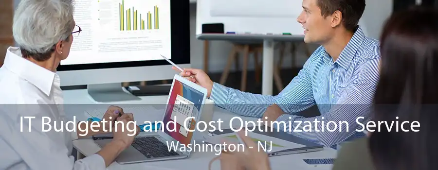 IT Budgeting and Cost Optimization Service Washington - NJ