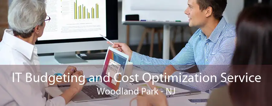 IT Budgeting and Cost Optimization Service Woodland Park - NJ