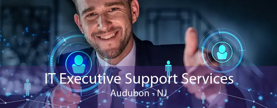 IT Executive Support Services Audubon - NJ