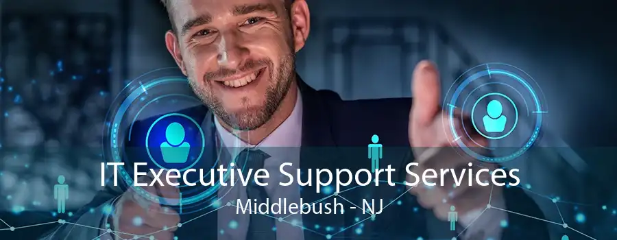 IT Executive Support Services Middlebush - NJ