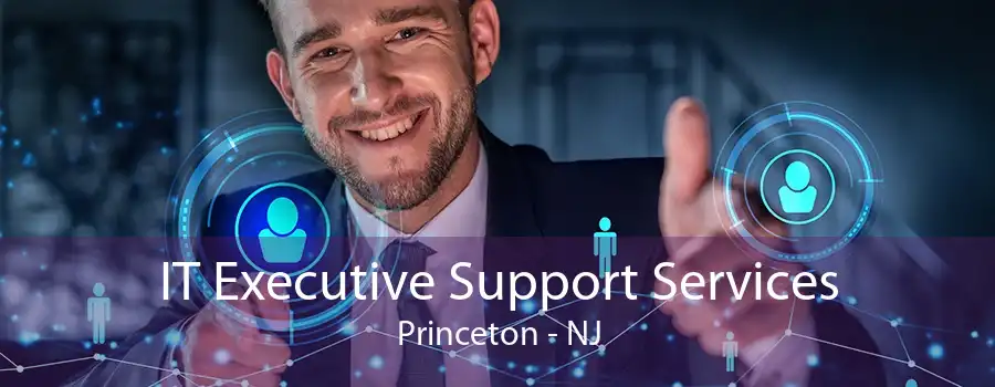 IT Executive Support Services Princeton - NJ