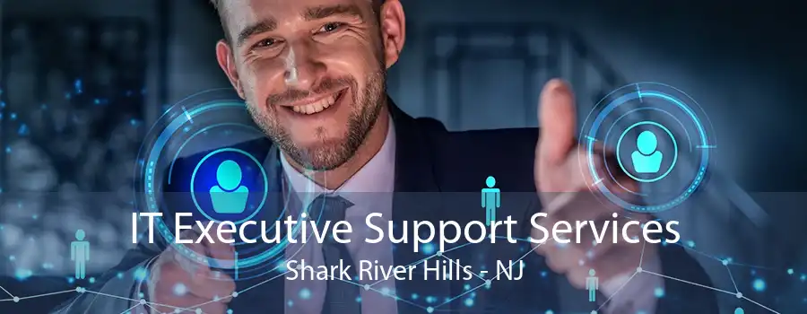 IT Executive Support Services Shark River Hills - NJ