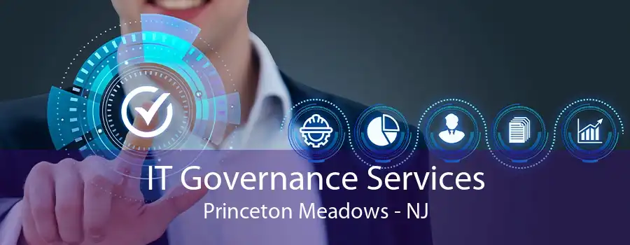 IT Governance Services Princeton Meadows - NJ