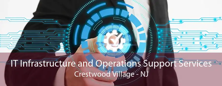 IT Infrastructure and Operations Support Services Crestwood Village - NJ